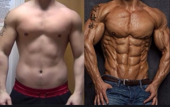 steroid cycle for men's physique